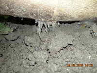 DSCN1358.JPG