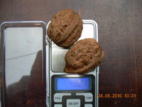 DSCN1348.JPG