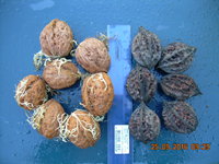DSCN1359.JPG