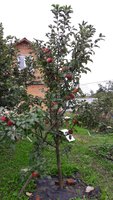 20160911_135052.jpg