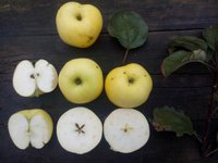 rps20160925_144850.jpg