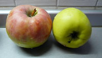 P1090103.JPG