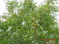 DSCN1365.JPG