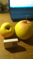 WP_20160927_004.jpg
