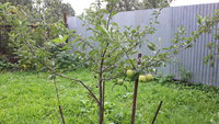 20160909_124318.jpg