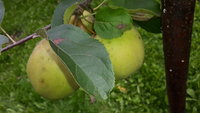 20160909_124411.jpg
