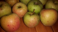 20160927_215203.jpg