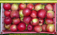 P1080228-2.jpg
