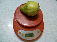 Куйбышевская Золотистая.jpg