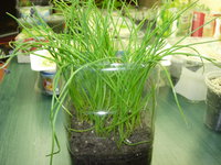 DSCN7898.JPG
