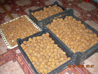DSCN1369.JPG