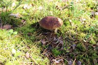 IMG_6680.jpg