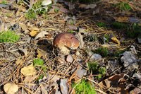 IMG_6693.jpg