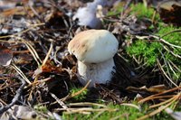 IMG_6709.jpg