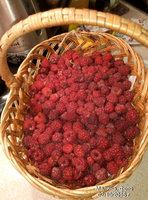 P61002-201749.jpg