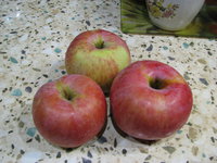 IMG_3192.JPG