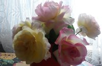 20160808_142155.jpg