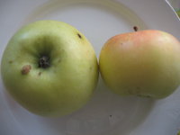 IMG_5611.JPG