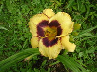 DSC09422.JPG