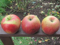 Хани крисп 24-09 (+).JPG