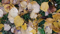 20161005_080640.jpg