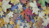 20161005_080232.jpg