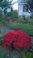 WP_20161001_011.jpg
