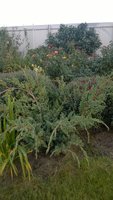 WP_20161001_006.jpg