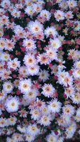 WP_20161001_005.jpg