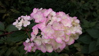 20160918_110243.jpg