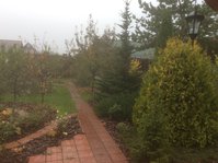 IMG_1611.JPG