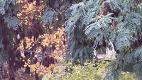 20161007_100748.jpg