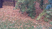 20161007_100738.jpg