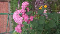 WP_20160721_08_06_45_Pro.jpg