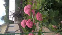 WP_20160721_08_07_07_Pro.jpg