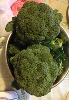 FullSizeRender (27).jpg