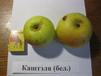 IMG_5143.JPG
