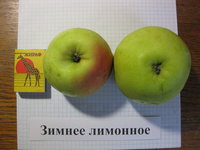 IMG_5139.JPG