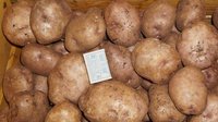 DSC00017к.jpg