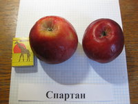 IMG_5146.JPG