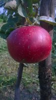WP_20160911_001.jpg