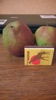 WP_20160925_006.jpg