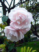 IMG_1584.JPG