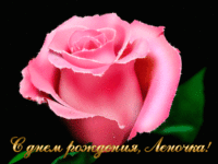 IMG_1641.GIF