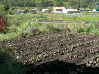 DSCN0970.JPG