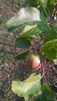 WP_20160626_004.jpg