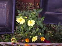 029-2.jpg