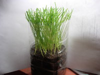 DSCN7938.JPG