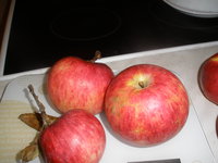 PA161055.JPG