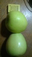 WP_20161017_005.jpg